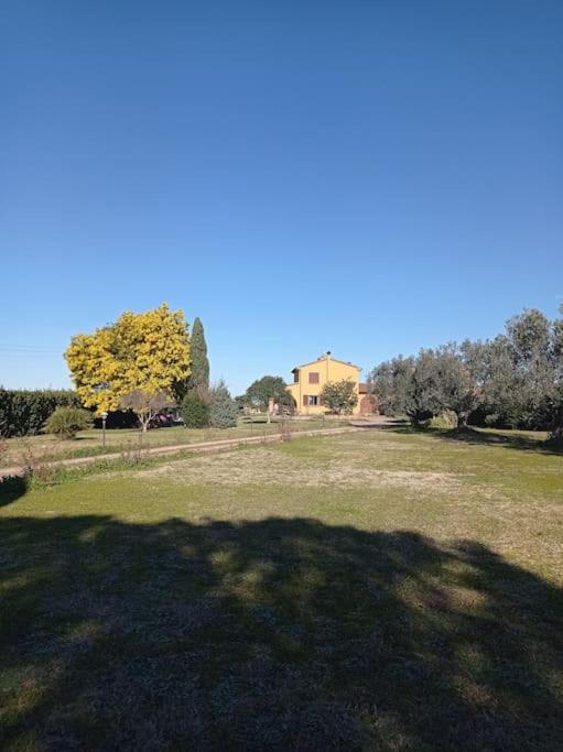 فيلا La Casina Di Campagna Tra Cecina E Bibbona المظهر الخارجي الصورة
